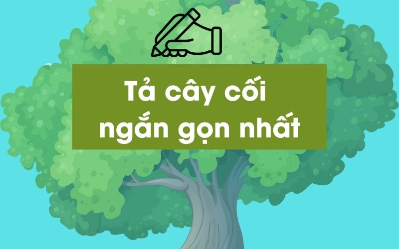 Dàn ý chi tiết bài văn miêu tả cây cối lớp 4 ngắn gọn