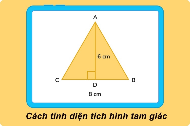 Diện tích hình tam giác