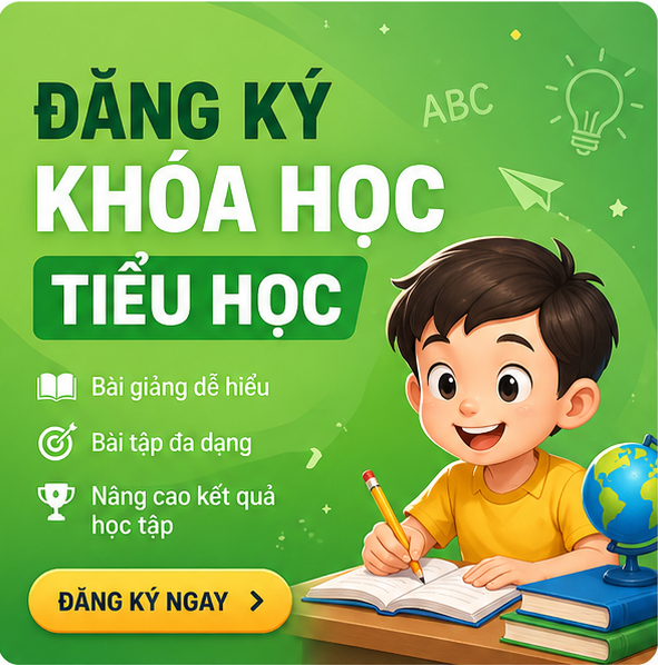 Khóa học tiểu học